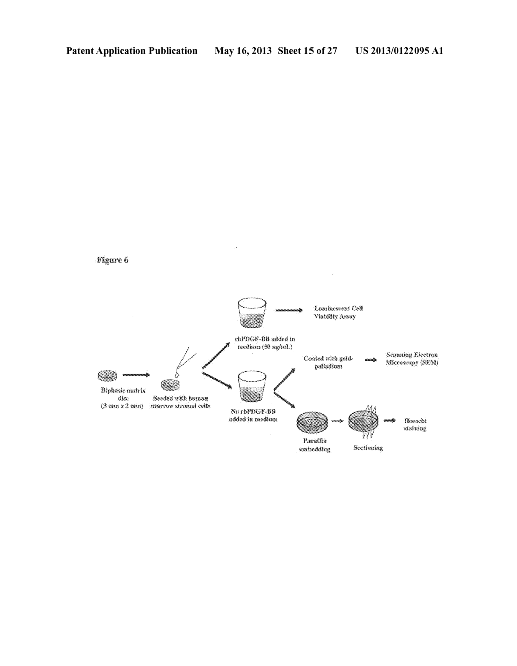 PLATELET-DERIVED GROWTH FACTOR COMPOSITIONS AND METHODS FOR THE TREATMENT     OF OSTEOCHONDRAL DEFECTS - diagram, schematic, and image 16