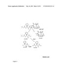 Derivatized Hyperbranched Polyglycerols diagram and image