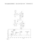 Derivatized Hyperbranched Polyglycerols diagram and image