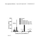 Derivatized Hyperbranched Polyglycerols diagram and image