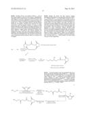Derivatized Hyperbranched Polyglycerols diagram and image
