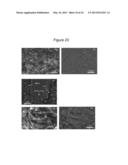 BONDING ELEMENT, BONDING MATRIX AND COMPOSITE MATERIAL HAVING THE BONDING     ELEMENT, AND METHOD OF MANUFACTURING THEREOF diagram and image