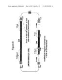 METHODS AND VECTORS FOR PRODUCING TRANSGENIC PLANTS diagram and image