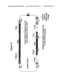 METHODS AND VECTORS FOR PRODUCING TRANSGENIC PLANTS diagram and image