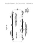 METHODS AND VECTORS FOR PRODUCING TRANSGENIC PLANTS diagram and image