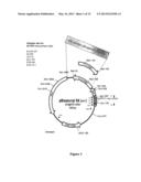 MULTI-SITE MUTAGENESIS diagram and image