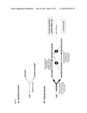 METABOLICALLY ENGINEERED ORGANISMS FOR THE PRODUCTION OF ADDED VALUE     BIO-PRODUCTS diagram and image