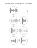 TARGETED DIFFERENTIATION OF STEM CELLS diagram and image