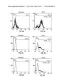 TARGETED DIFFERENTIATION OF STEM CELLS diagram and image