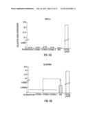 TARGETED DIFFERENTIATION OF STEM CELLS diagram and image