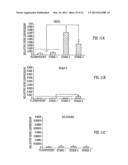 TARGETED DIFFERENTIATION OF STEM CELLS diagram and image