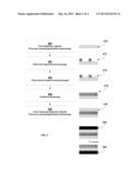 ADSORPTION SITE BLOCKING METHOD FOR CO-DOPING ALD FILMS diagram and image