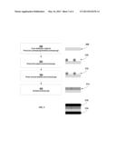 ADSORPTION SITE BLOCKING METHOD FOR CO-DOPING ALD FILMS diagram and image