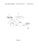 CAPTURE PROBE AND ASSAY FOR ANALYSIS OF FRAGMENTED NUCLEIC ACIDS diagram and image