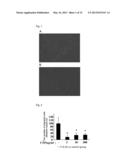 DRUG INHIBITING THE PROGRESSION OF ATHEROSCLEROSIS, PREVENTIVE DRUG, BLOOD     CHOLESTEROL-LOWERING DRUG, FUNCTIONAL FOOD, AND SPECIFIC HEALTH FOOD diagram and image