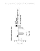 GLUCAGON SUPERFAMILY PEPTIDES EXHIBITING NUCLEAR HORMONE RECEPTOR ACTIVITY diagram and image