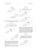 19-NOR-STEROID DERIVATIVES WITH A 15a,16a-METHYLENE GROUP AND A SATURATED     17,17-SPIROLACTONE RING, USE THEREOF, AND MEDICAMENTS CONTAINING SAID     DERIVATIVES diagram and image