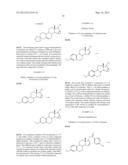 19-NOR-STEROID DERIVATIVES WITH A 15a,16a-METHYLENE GROUP AND A SATURATED     17,17-SPIROLACTONE RING, USE THEREOF, AND MEDICAMENTS CONTAINING SAID     DERIVATIVES diagram and image