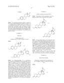 19-NOR-STEROID DERIVATIVES WITH A 15a,16a-METHYLENE GROUP AND A SATURATED     17,17-SPIROLACTONE RING, USE THEREOF, AND MEDICAMENTS CONTAINING SAID     DERIVATIVES diagram and image