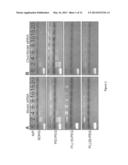 Polyplexes of Hydrophobically-Modified siRNA for Delivery of siRNA diagram and image