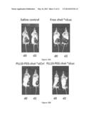 Polyplexes of Hydrophobically-Modified siRNA for Delivery of siRNA diagram and image