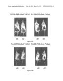 Polyplexes of Hydrophobically-Modified siRNA for Delivery of siRNA diagram and image