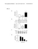 COMPOSITIONS AND METHODS FOR THE TREATMENT AND PREVENTION OF CARDIAC     ISCHEMIC INJURY diagram and image