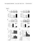 COMPOSITIONS AND METHODS FOR THE TREATMENT AND PREVENTION OF CARDIAC     ISCHEMIC INJURY diagram and image