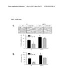 COMPOSITIONS AND METHODS FOR THE TREATMENT AND PREVENTION OF CARDIAC     ISCHEMIC INJURY diagram and image