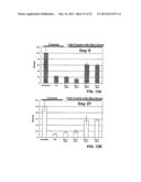 Soluble TNF Receptors and Their Use in Treatment of Disease diagram and image