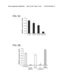 RADIATION SENSITIZATION AGENTS FOR PROSTATE CANCER diagram and image