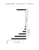 RADIATION SENSITIZATION AGENTS FOR PROSTATE CANCER diagram and image