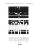 Plants Having Enhanced Yield-Related Traits and a Method for Making the     Same diagram and image