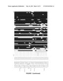 Plants Having Enhanced Yield-Related Traits and a Method for Making the     Same diagram and image