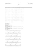 Plants Having Enhanced Yield-Related Traits and a Method for Making the     Same diagram and image