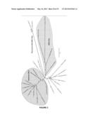 Plants Having Enhanced Yield-Related Traits and a Method for Making the     Same diagram and image