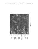 CZTS/Se PRECURSOR INKS AND METHODS FOR PREPARING CZTS/Se THIN FILMS AND     CZTS/Se-BASED PHOTOVOLTAIC CELLS diagram and image