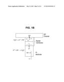 SIMULTANEOUS PURIFICATION OF CELL COMPONENTS diagram and image