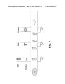 SIMULTANEOUS PURIFICATION OF CELL COMPONENTS diagram and image