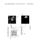 Imaging Detecting with Automated Sensing of an Object or Characteristic of     that Object diagram and image