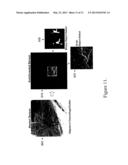 Imaging Detecting with Automated Sensing of an Object or Characteristic of     that Object diagram and image