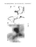 OPTICAL MICROSCOPY WITH PHOTOTRANSFORMABLE OPTICAL LABELS diagram and image