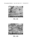 Coatings for Photoluminescent Materials diagram and image