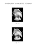 System and Method for Interactive Image-based Modeling of Curved Surfaces     Using Single-view and Multi-view Feature Curves diagram and image