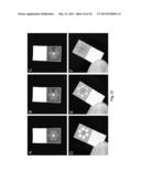 Lateral Flow and Flow-through Bioassay Devices Based on Patterned Porous     Media, Methods of Making Same, and Methods of Using Same diagram and image