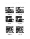 APPARATUS AND METHOD FOR ADJUSTING WHITE BALANCE diagram and image