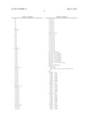 METHOD AND DEVICE FOR CODEBOOK GENERATION AND DOWNLINK SIGNAL TRANSMISSION     IN A WIRELESS COMMUNICATION SYSTEM SUPPORTING MULTIPLE ANTENNAS diagram and image