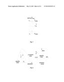 METHOD AND SYSTEM FOR DESCRIBING IMAGE REGION BASED ON COLOR HISTOGRAM diagram and image