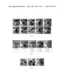 METHOD AND SYSTEM FOR DESCRIBING IMAGE REGION BASED ON COLOR HISTOGRAM diagram and image