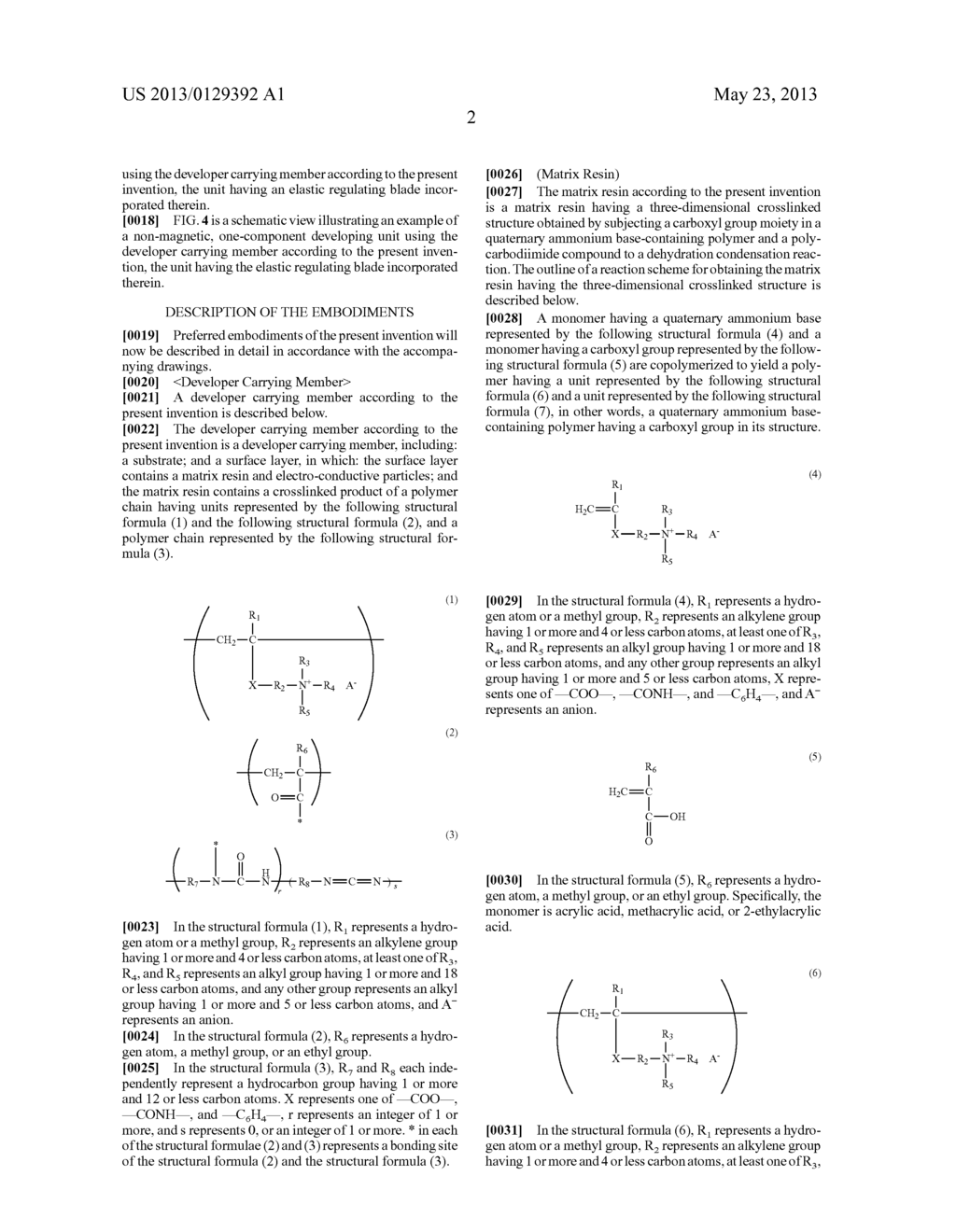 DEVELOPER CARRYING MEMBER AND DEVELOPING UNIT - diagram, schematic, and image 06